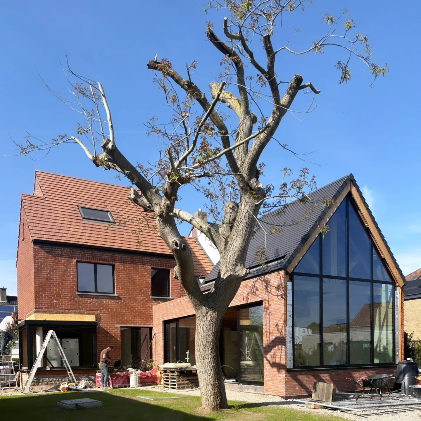 Uitbreiding en bestaande boom tijdens de werken